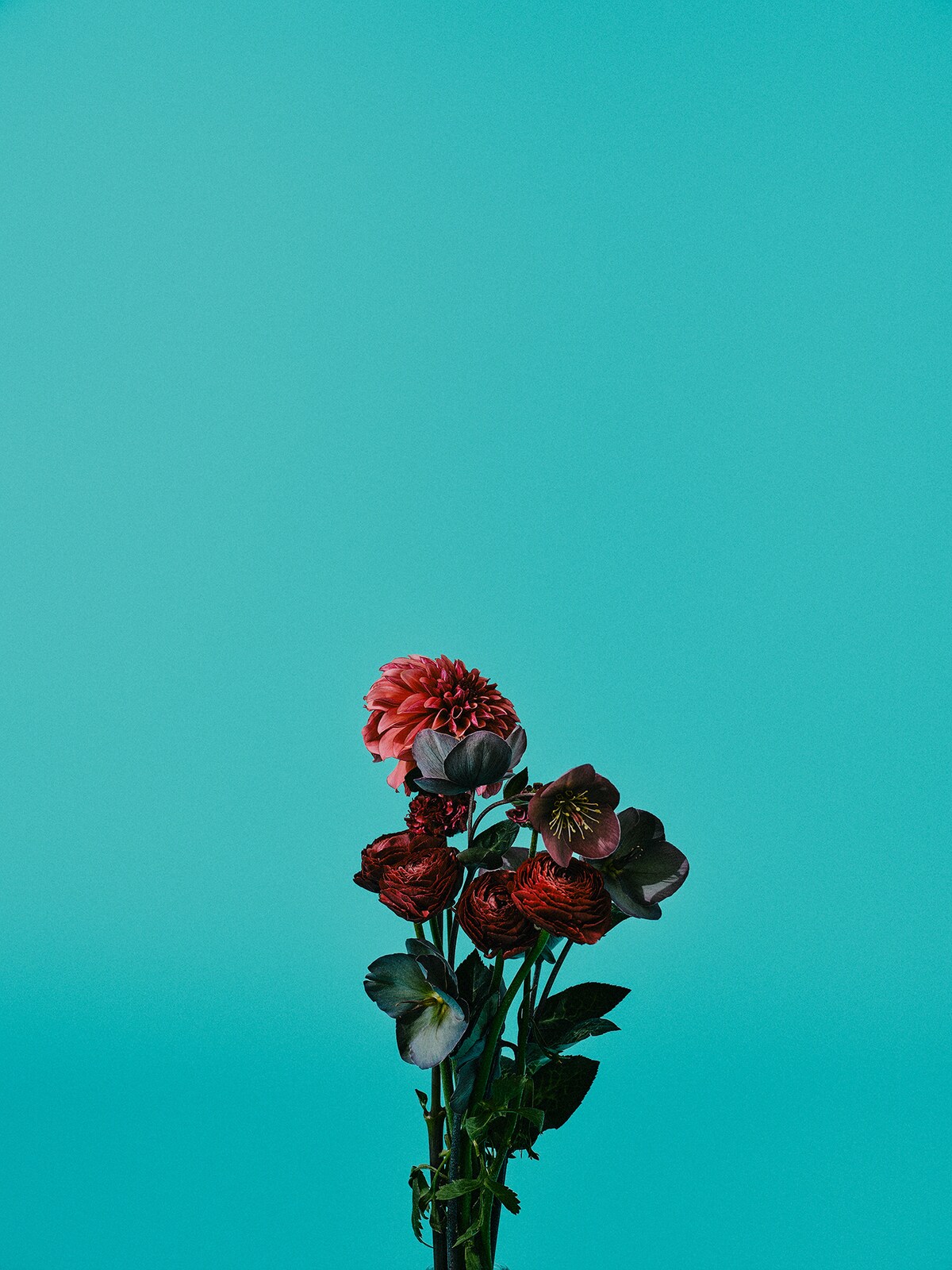 川上洋平が手にした花束。