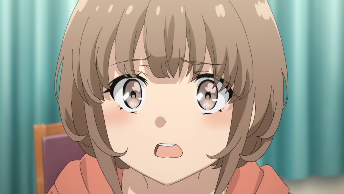 梓川花楓は咲太の妹。過去のいじめが原因で外に出られず、常に家でお留守番をしている。パンダとお兄ちゃんが大好き。