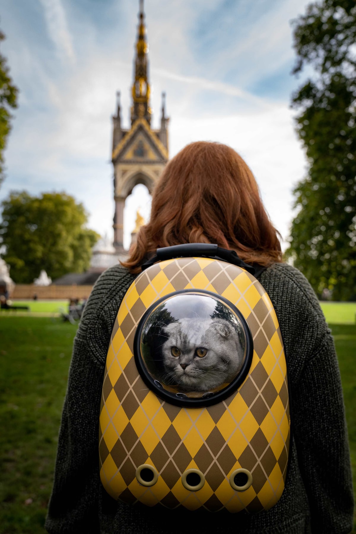 ブライス・ダラス・ハワード演じるエリーに背負われながら移動する、チップ演じるアルフィー。