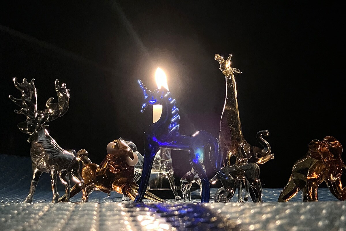 日中韓共同制作「ガラスの動物園」より。