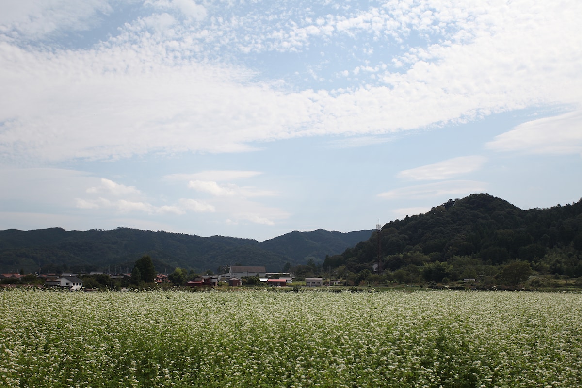 鳥の劇場の周辺に広がる野原。