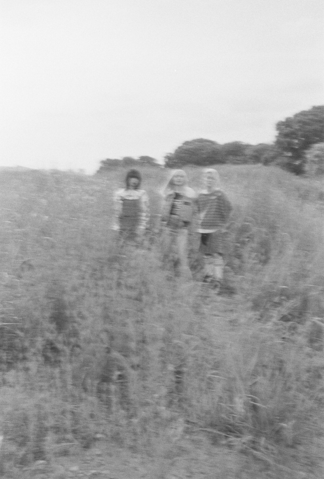 ブランデー戦記