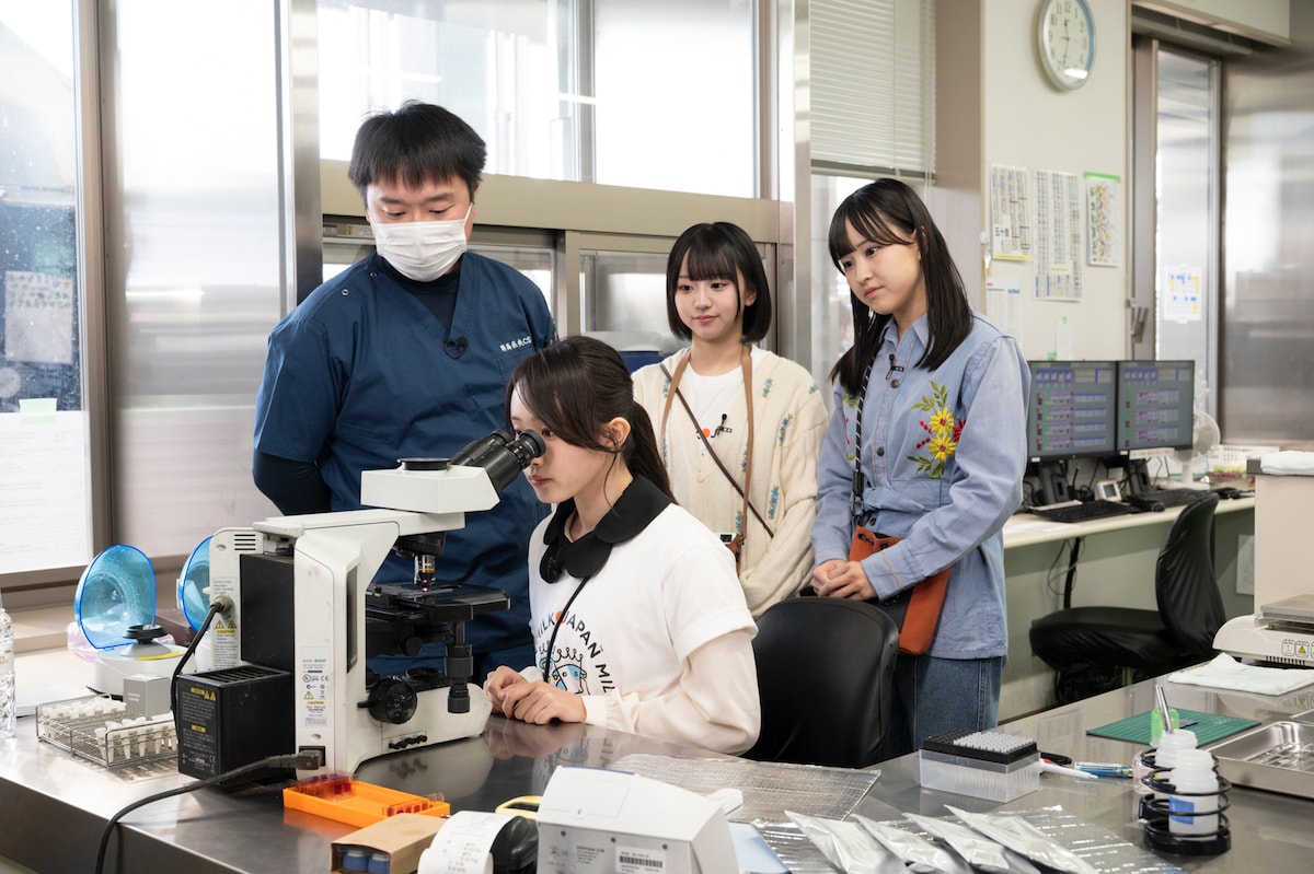 顕微鏡を覗く葉月紗蘭（手前）。（提供：中央酪農会議）