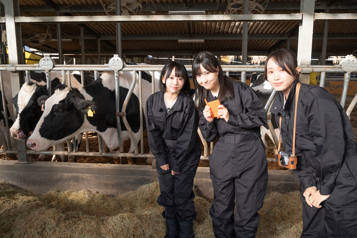 牧場を訪れた高嶺のなでしこ。（提供：中央酪農会議）