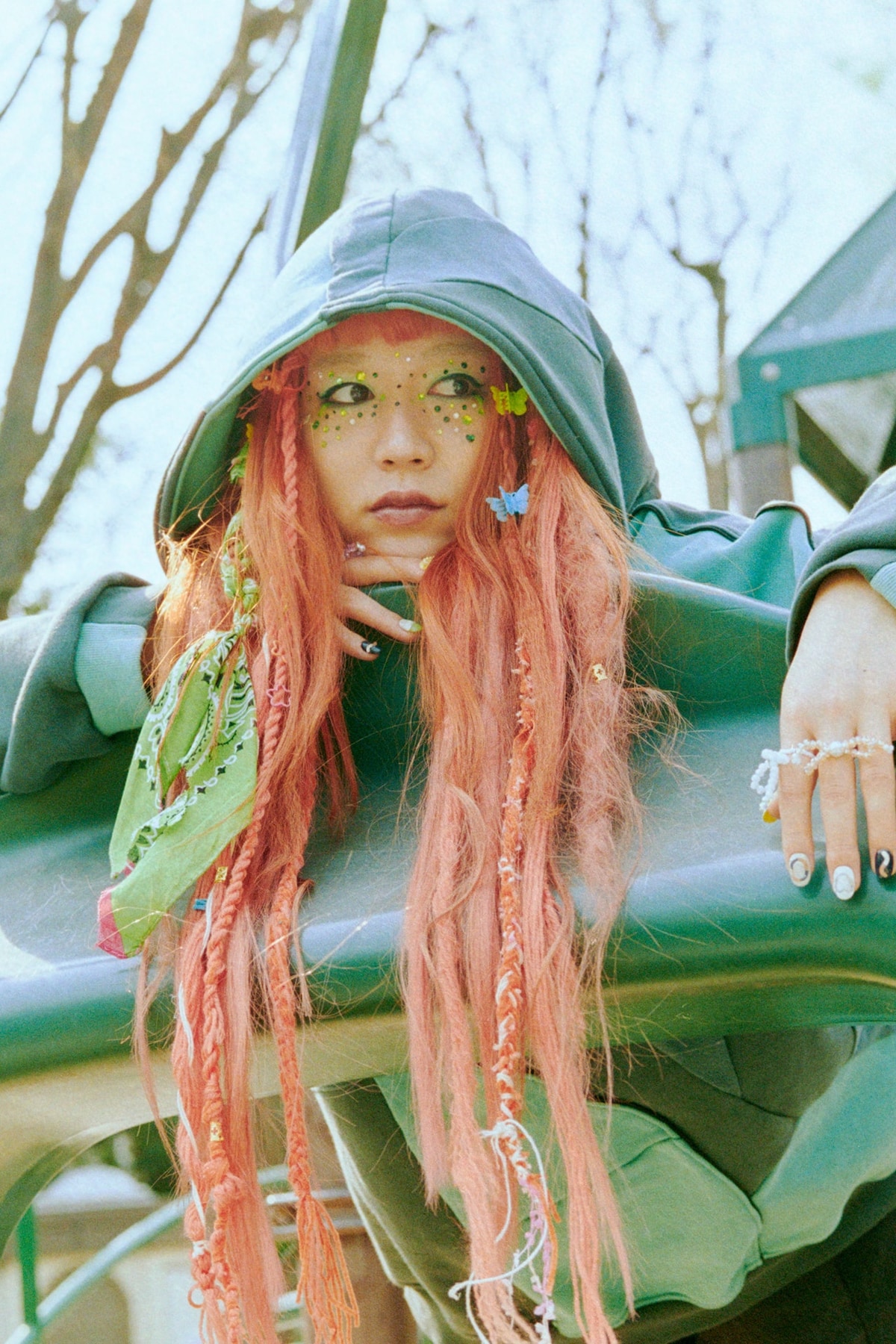 カメレオン・ライム・ウーピーパイ