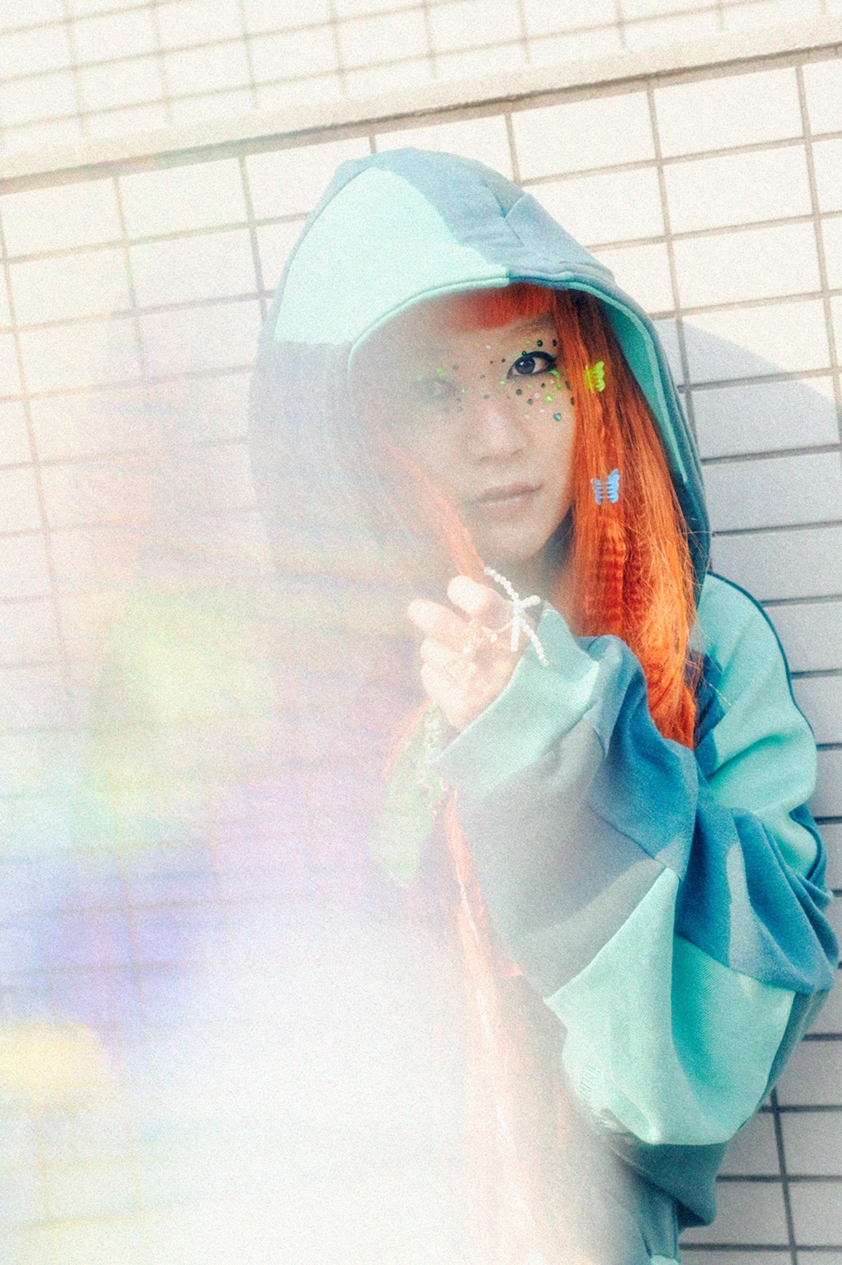 カメレオン・ライム・ウーピーパイ