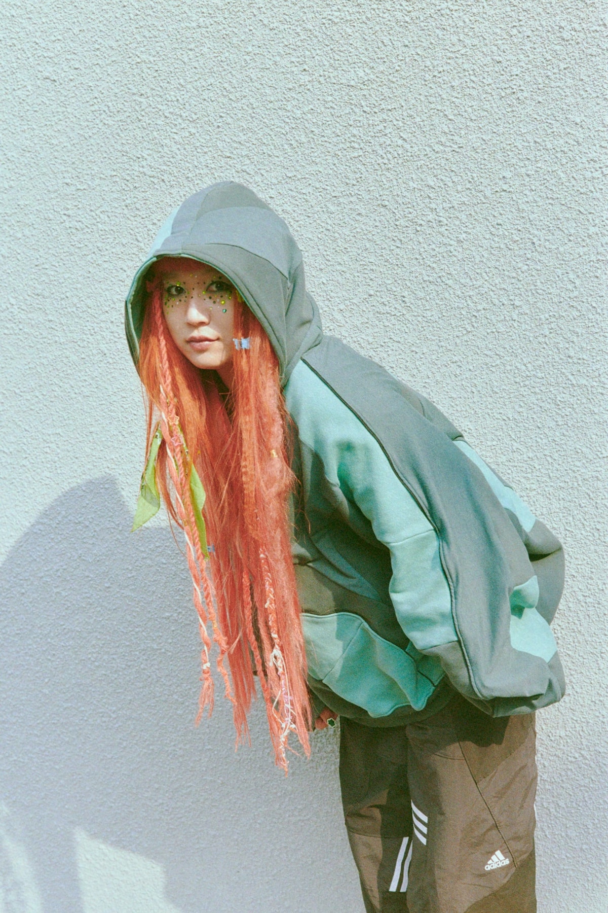 カメレオン・ライム・ウーピーパイ