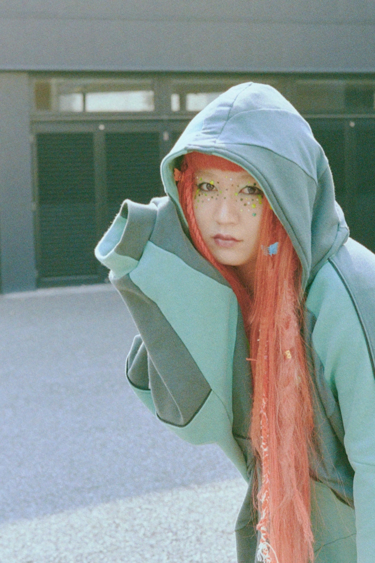 カメレオン・ライム・ウーピーパイ