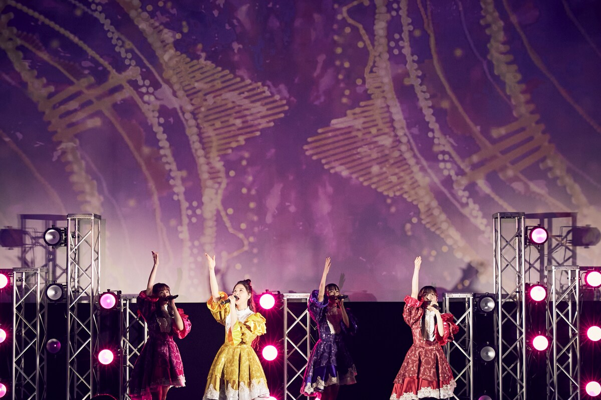 秋葉原UDXシアターでのライブの様子。