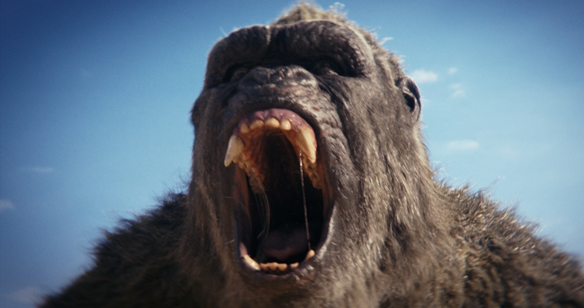 「ゴジラxコング 新たなる帝国」場面写真