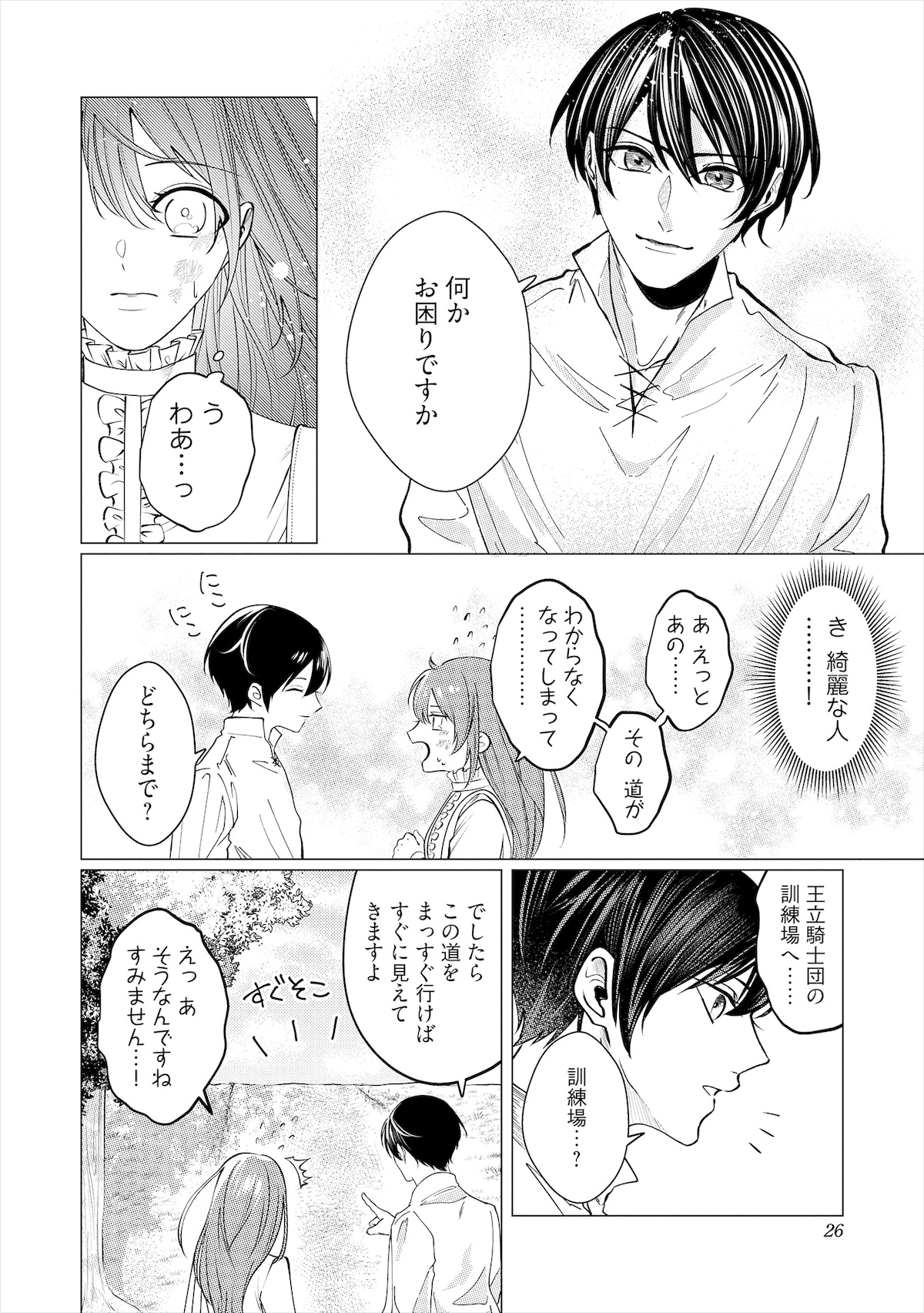 ソフィアは試験会場に向かう道中、荷物が運べなくなってしまった人を見かけて隣町に寄ったため道に迷ってしまう。そんなとき、声をかけたのがルイ。ソフィアはルイが従騎士だとは知らないまま、試験会場で再会を果たす。