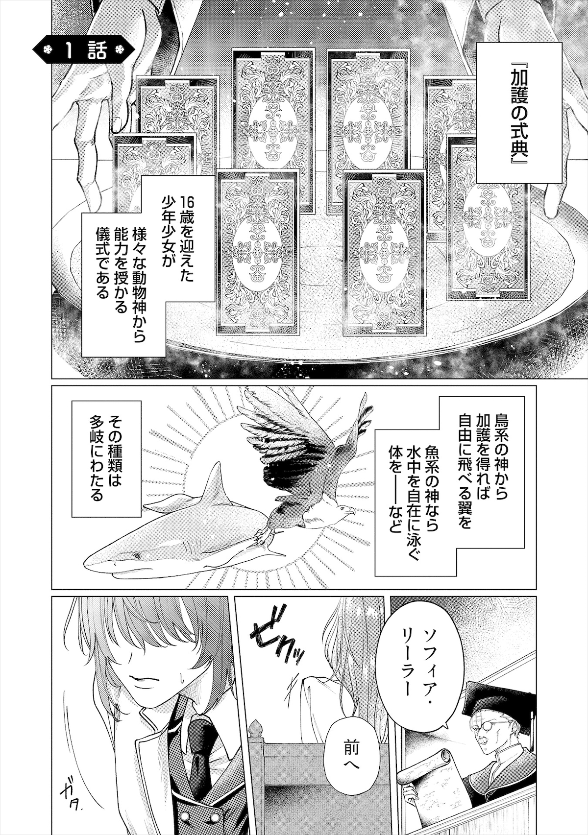 動物神の加護を受けると、その動物の特性が引き当てた人物にそのまま受け継がれる。