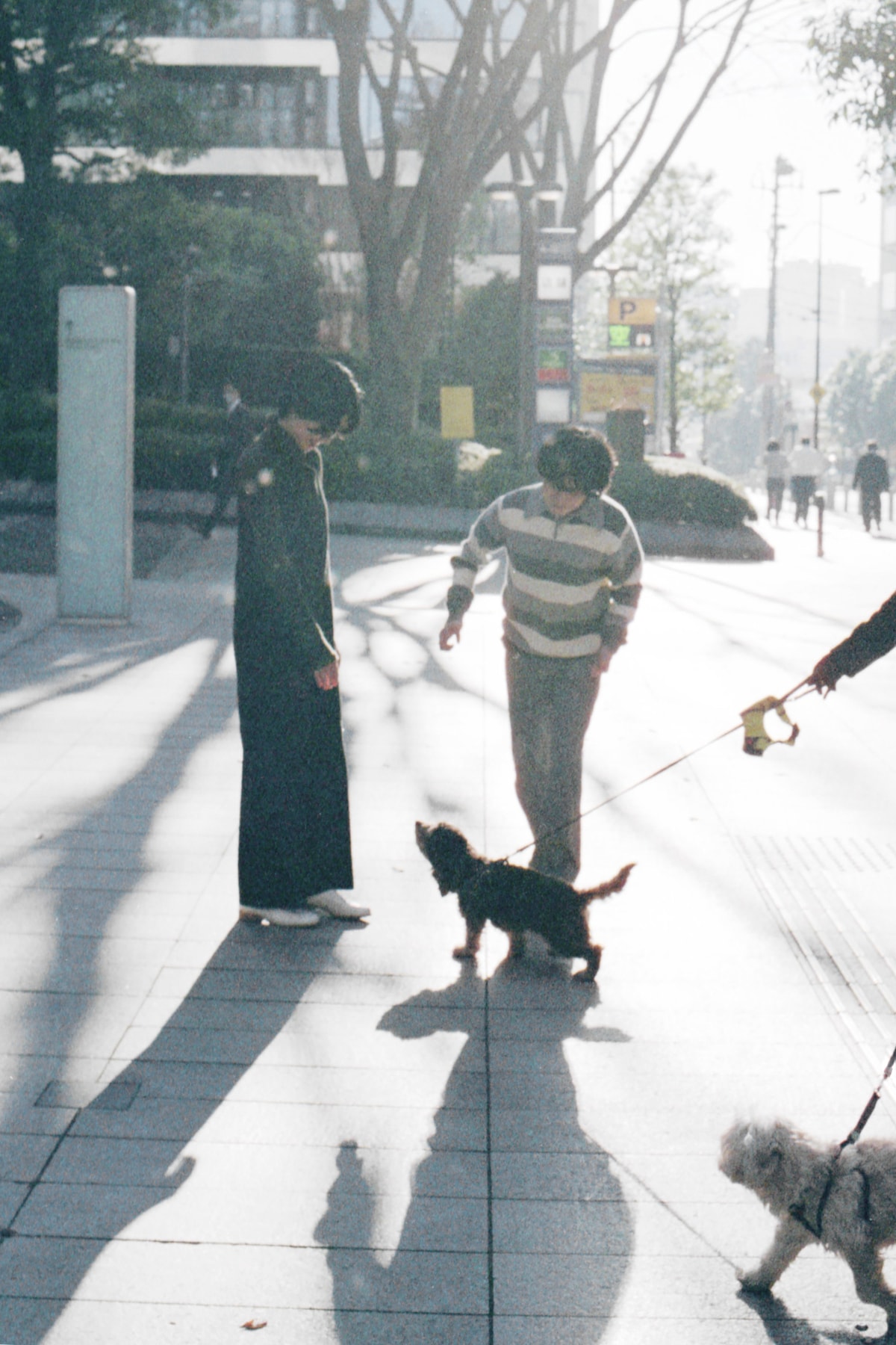 左から畳野彩加（Vo, G）、福富優樹（G）。