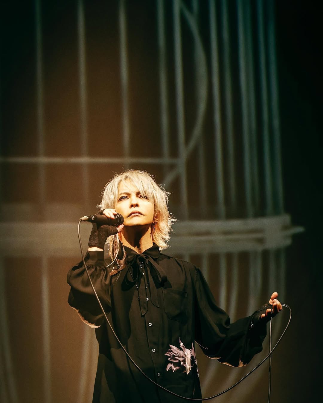 2021年に行われた「20th Orchestra Tour HYDE ROENTGEN 2021」より。