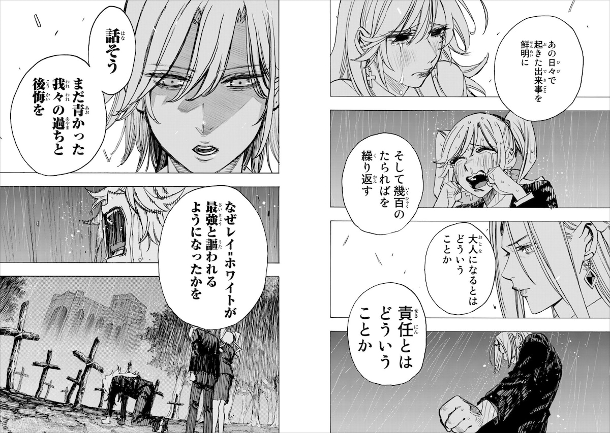 11巻の後半より幕を開ける過去編では、レイがなぜ最強と呼ばれるに至ったかが語られる。