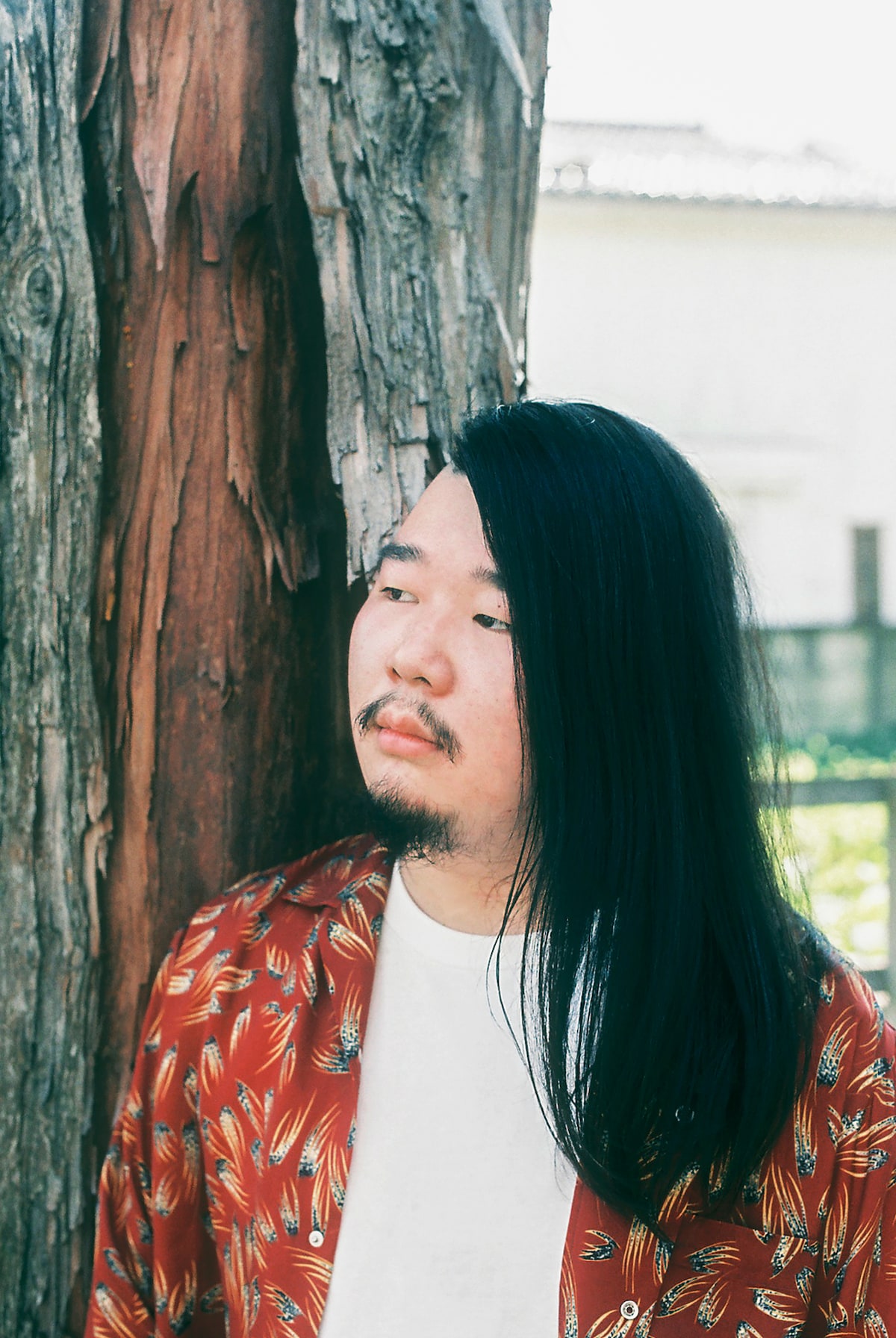 とものしん（B）