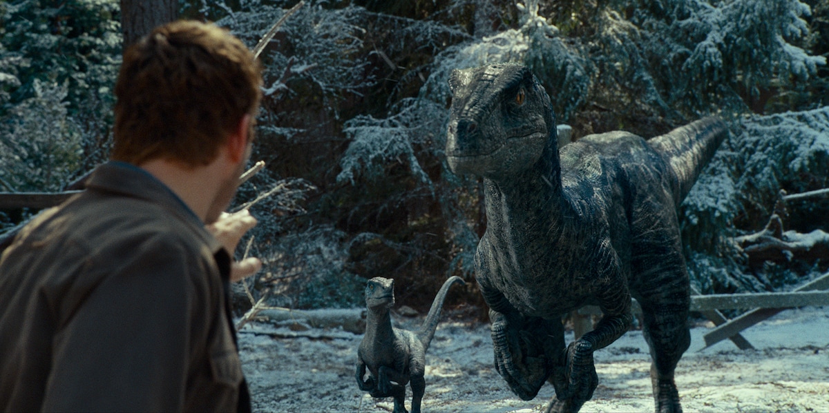 「ジュラシック・ワールド／新たなる支配者」より、ヴェロキラプトルのブルー（右）とその子供（左）。