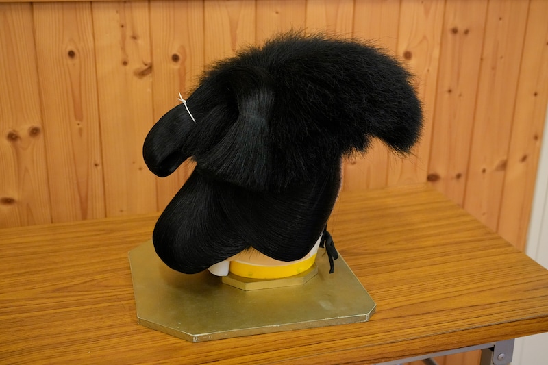 日本駄右衛門のカツラ。