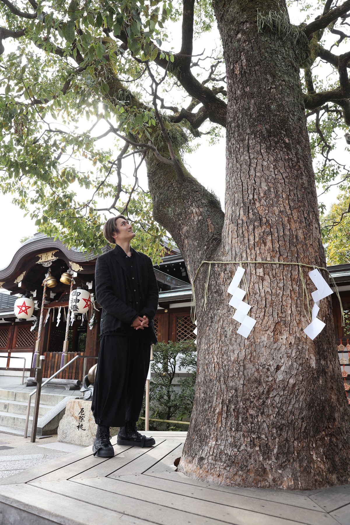 晴明神社の御神木、樹齢推定300年の楠を見上げる中村隼人。