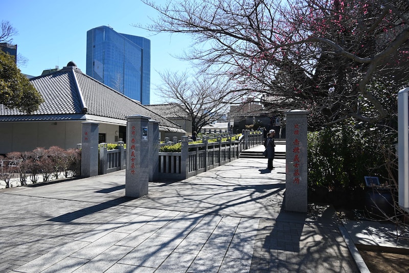 梅が咲き誇る、泉岳寺の様子。