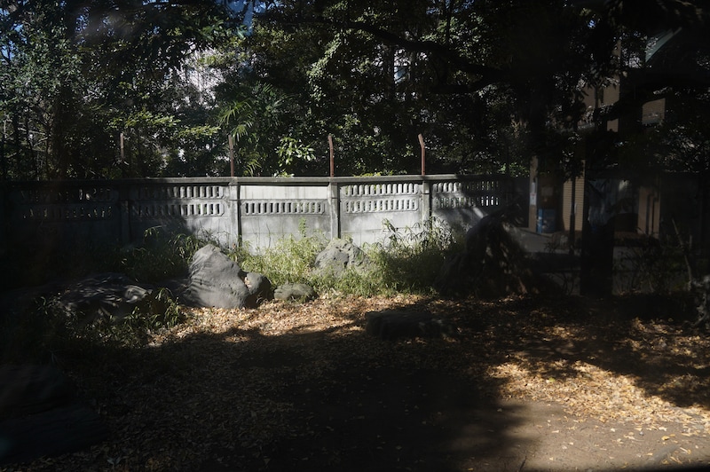 ガラス越しに見た風景。