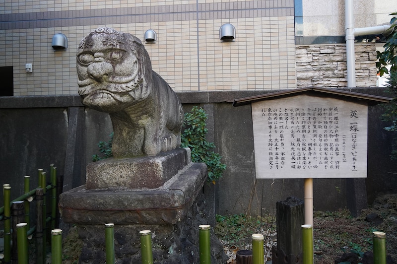 承教寺に立つ狛件。