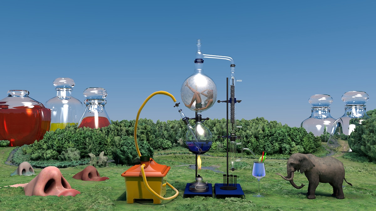 山内祥太＆マキ・ウエダ「汗と油のチーズのように酸っぱいジュース」©︎Shota Yamauchi