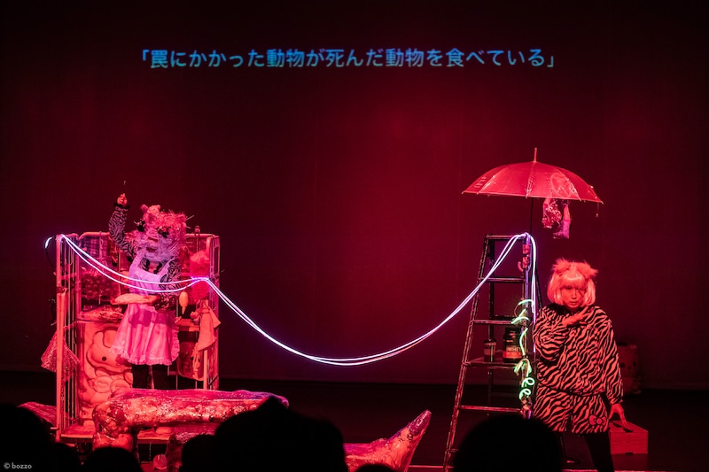 市原佐都子 / Q「キティ」成果発表の様子。©bozzo（提供：城崎国際アートセンター）