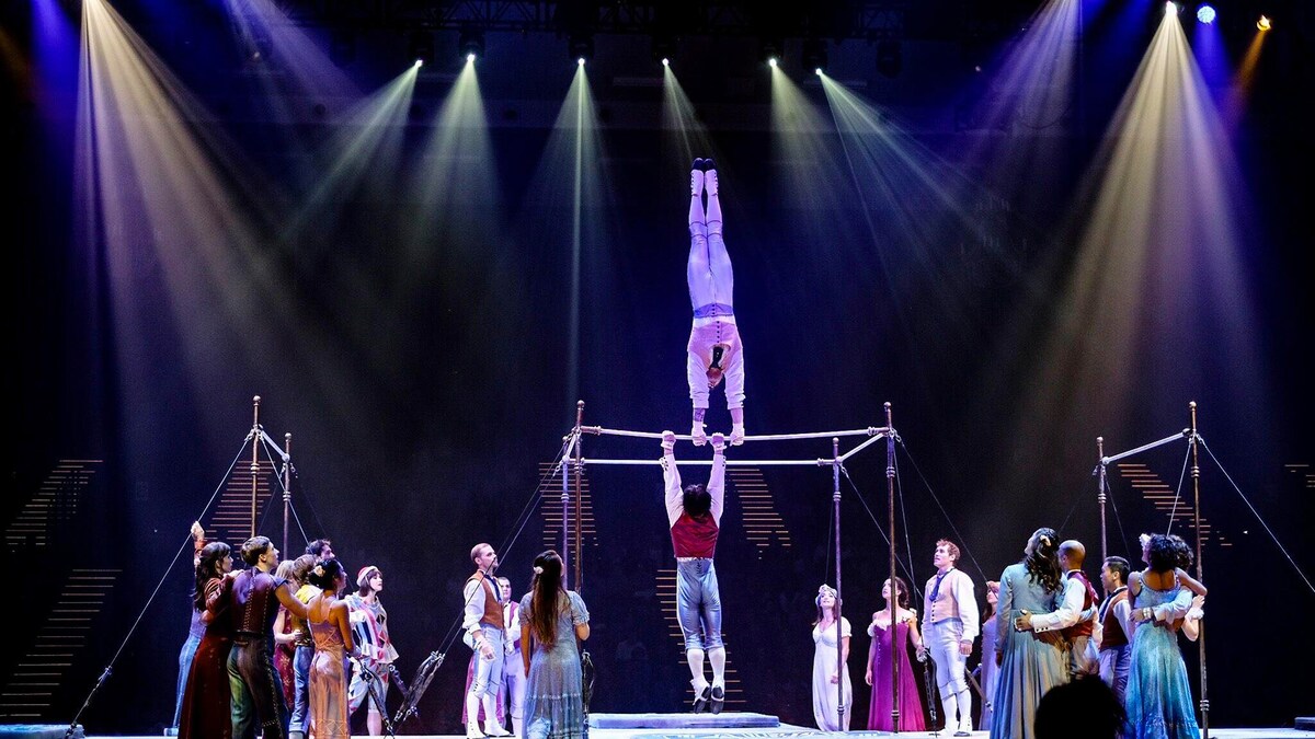 シルク・ドゥ・ソレイユ時代、奥澤秀人が行なっていた鉄棒パフォーマンスの様子。（本人提供）