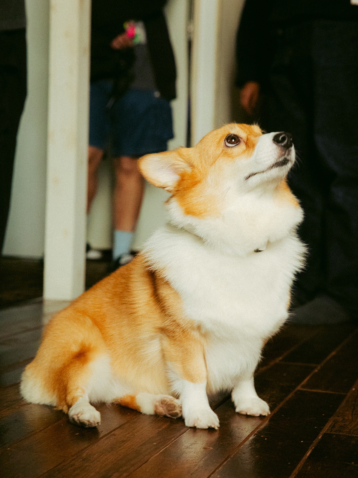 Kroi「Jewel」MV撮影時の様子。