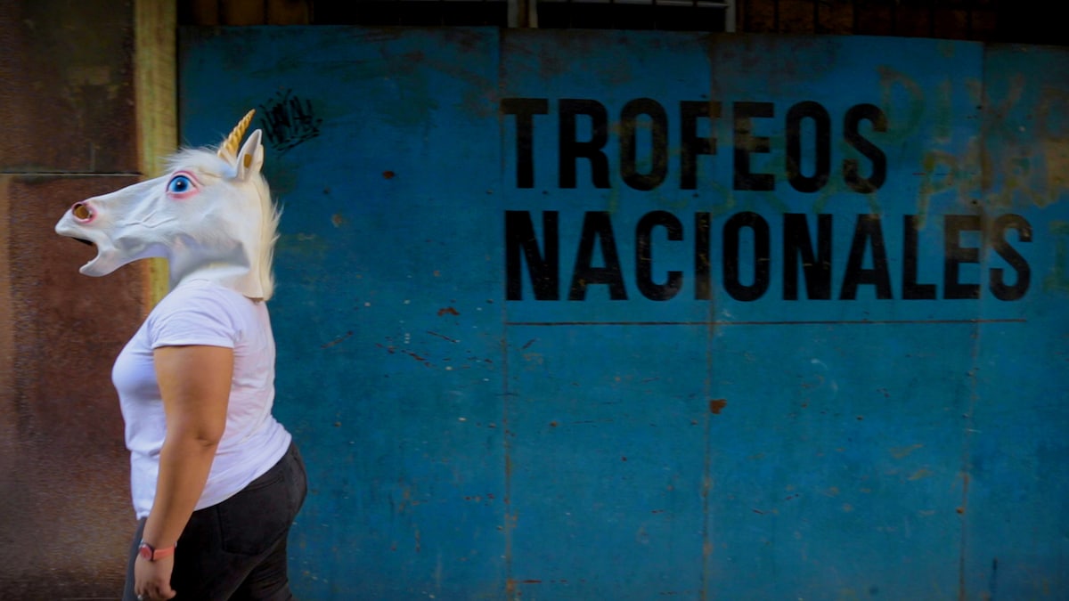 マルタ・ルイサ・エルナンデス・カデナス「私はユニコーンではない」ビジュアル ©Joanna Montero