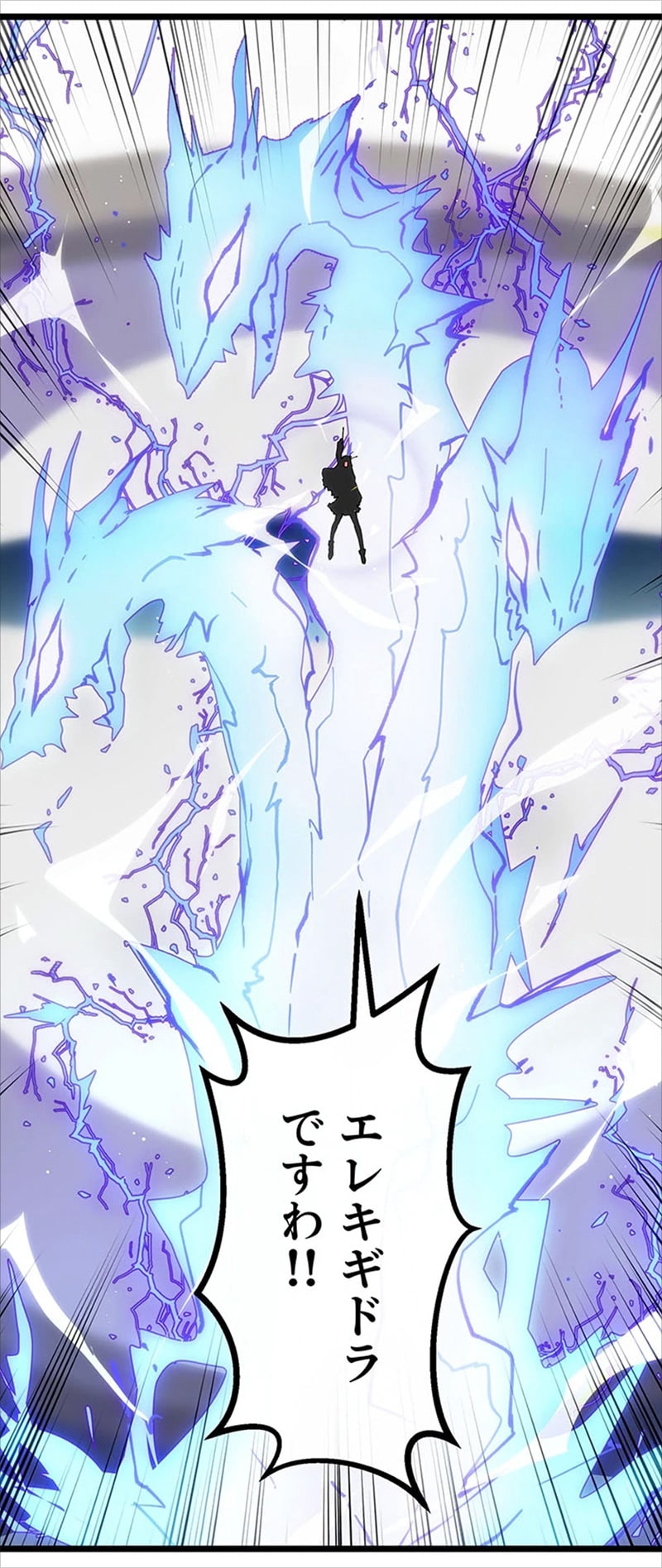 自身の最強魔法・エレキギドラを放つ華南。