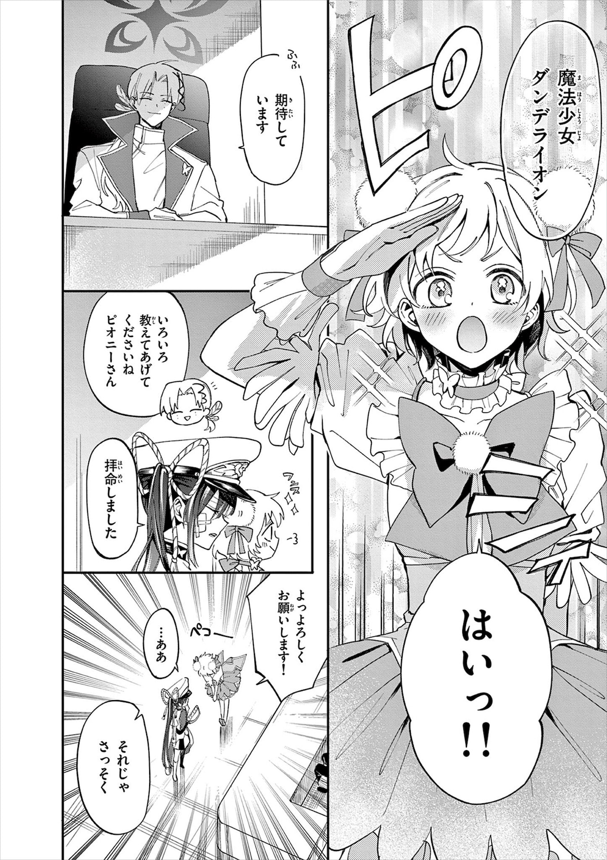 魔法少女の能力を見出された女子高生。怪人をも救おうとする、異例の魔法少女となる。