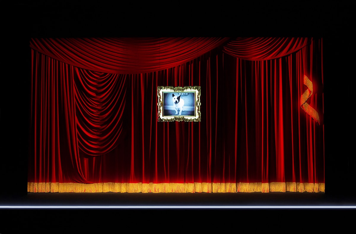 「Mary Said What She Said」より。©︎LUCIE JANSCH