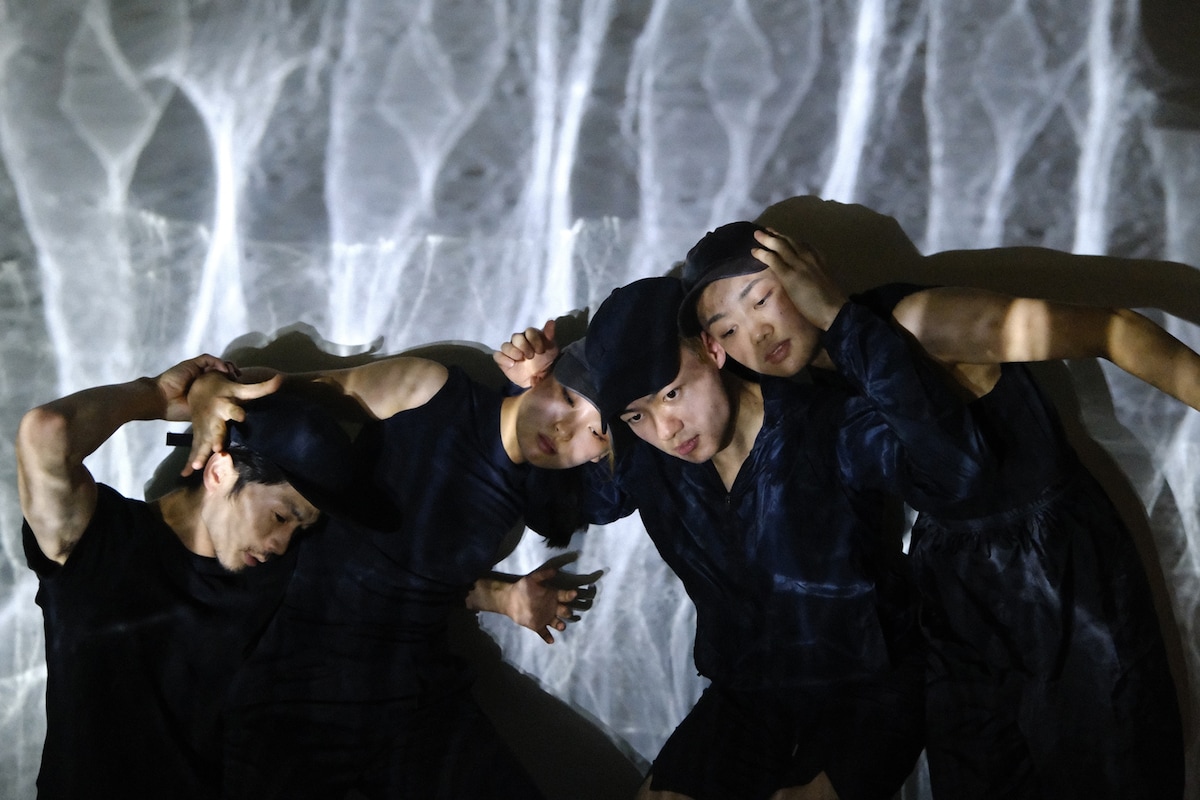 「DaBYパフォーミングアーツ・セレクション2023」ビジュアル