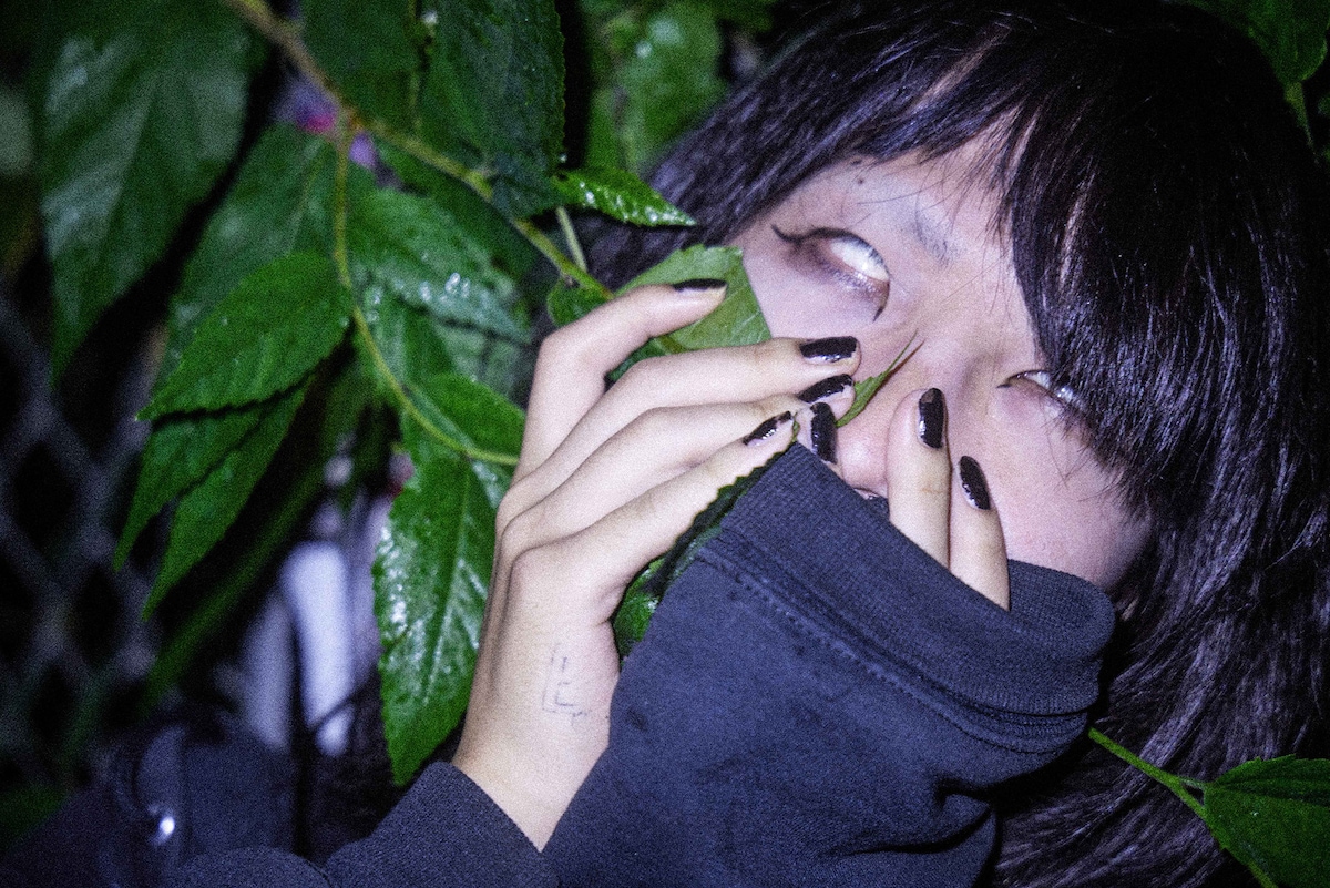 夢咲みちる（Vo）