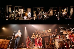 森山直太朗「弓弦葉」と「Yeeeehaaaaw!」を行き来する2本のツアーを紐解く