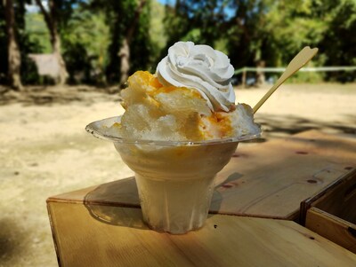 「moto g52j 5G Ⅱ」で撮影した「ONE MUSIC CAMP」の会場内。（撮影：取材スタッフ）