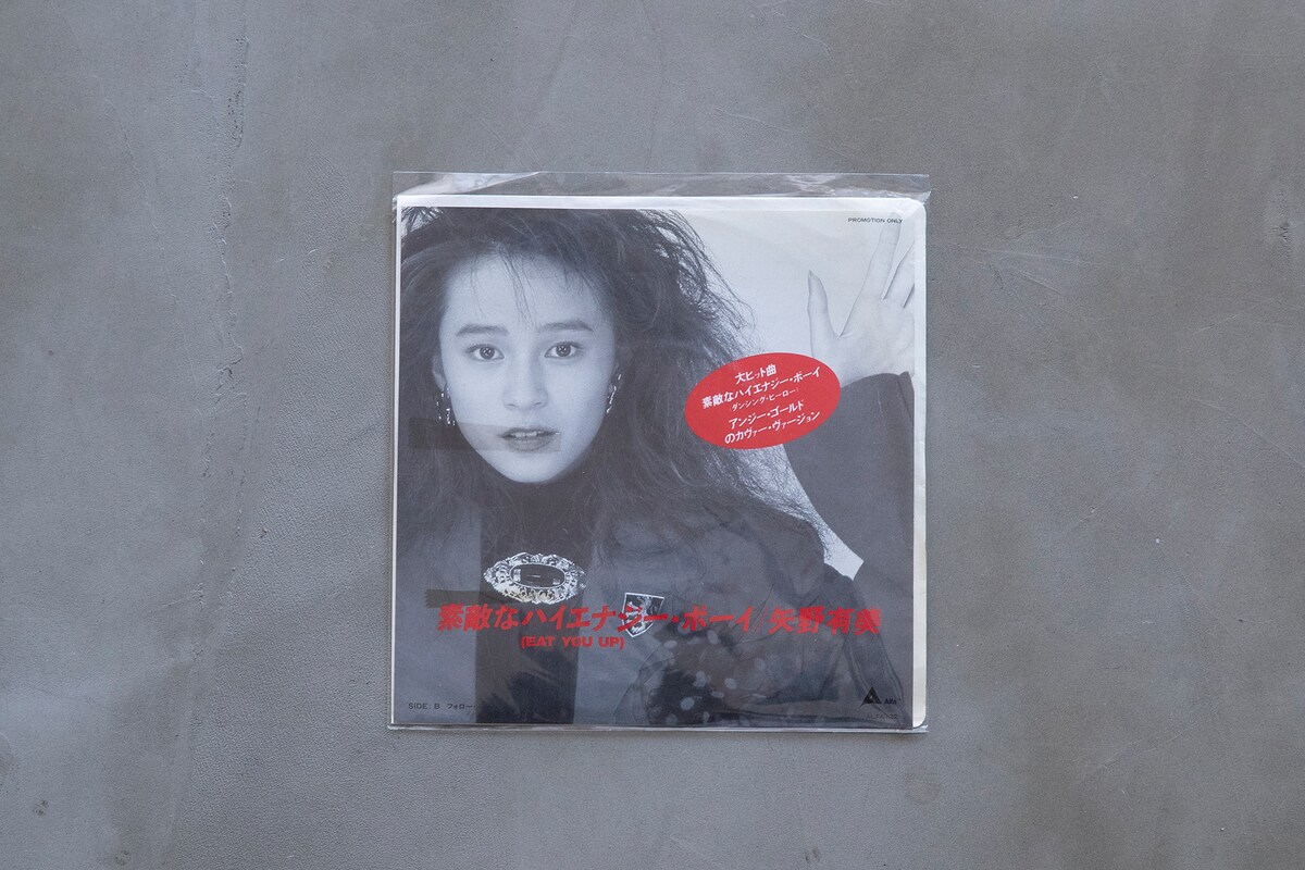 矢野有美 「素敵なハイエナジー・ボーイ Eat You Up」