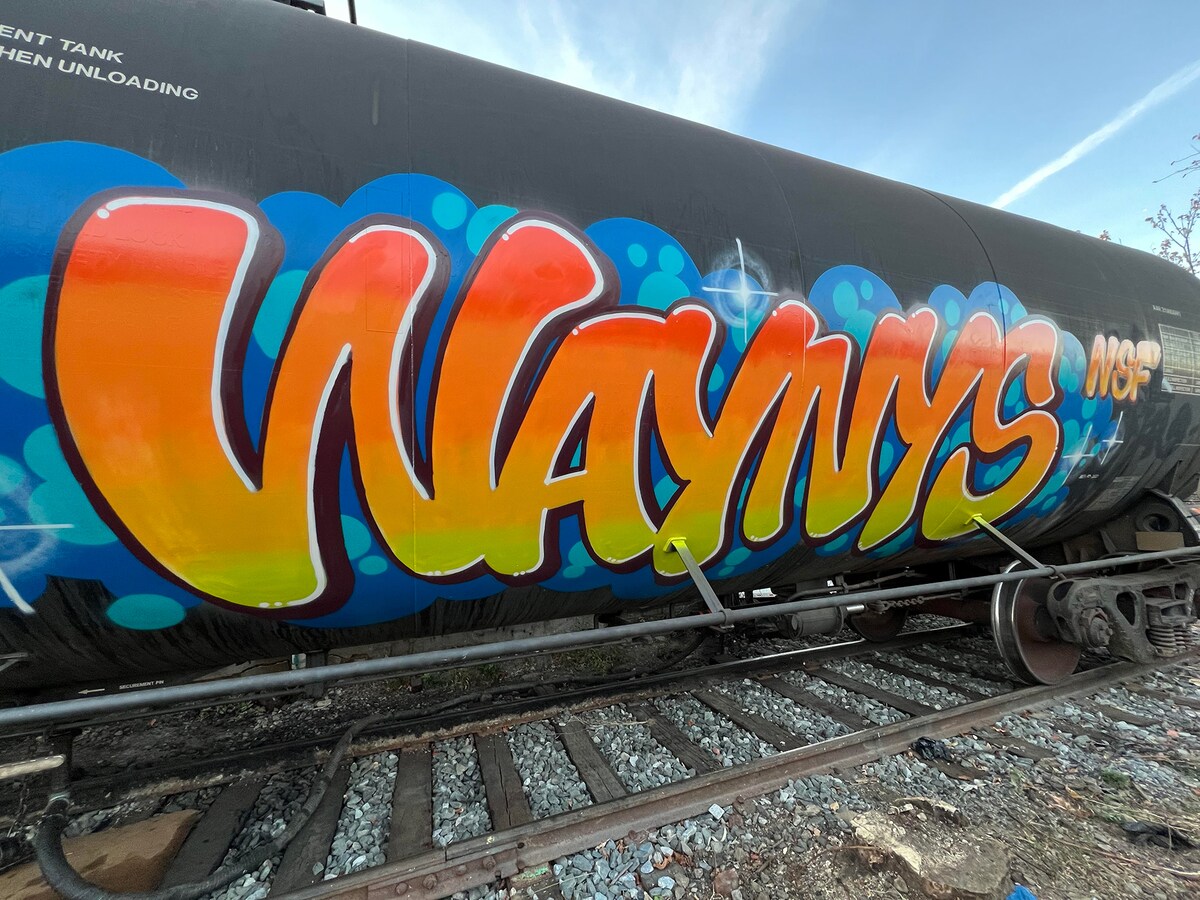 WAYNYS