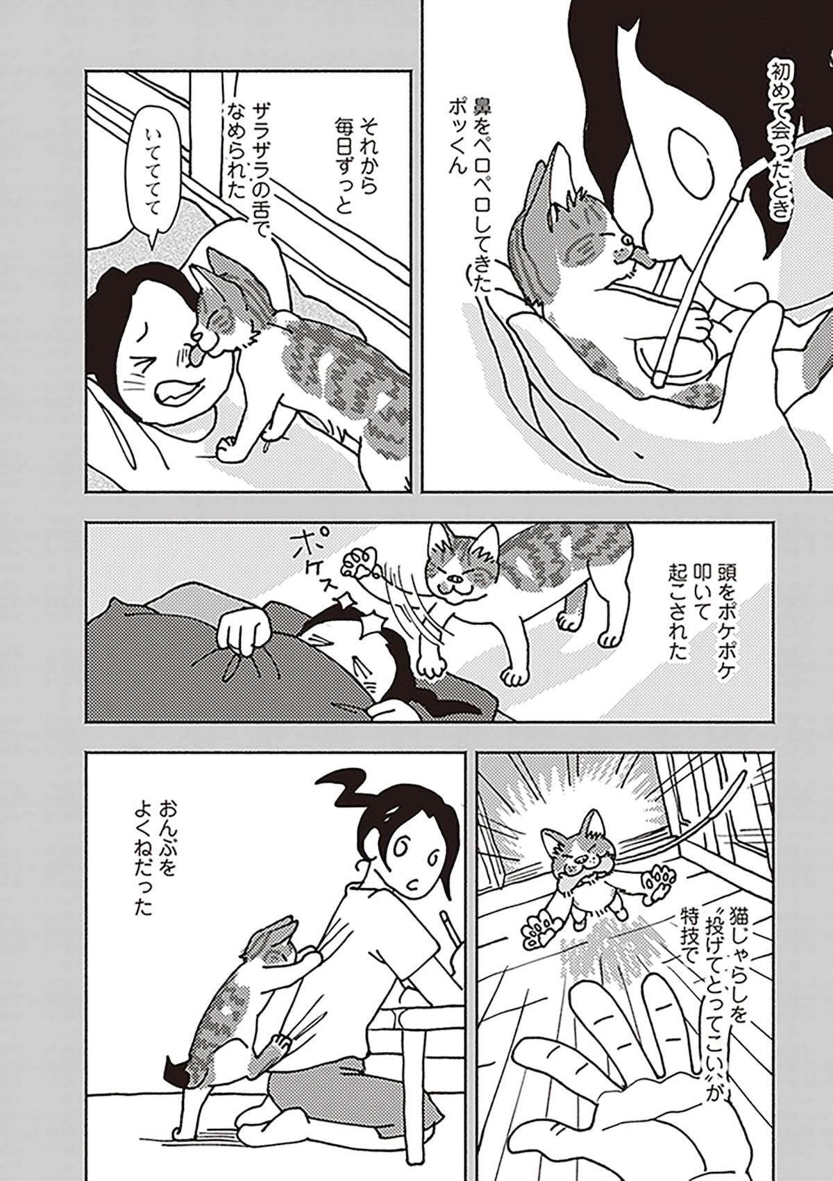 「ポッケの旅支度」