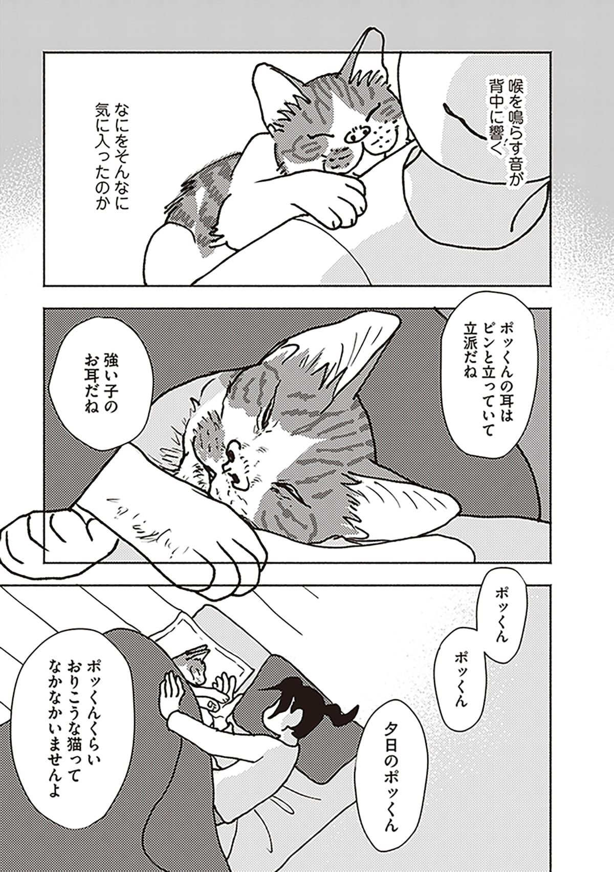 「ポッケの旅支度」