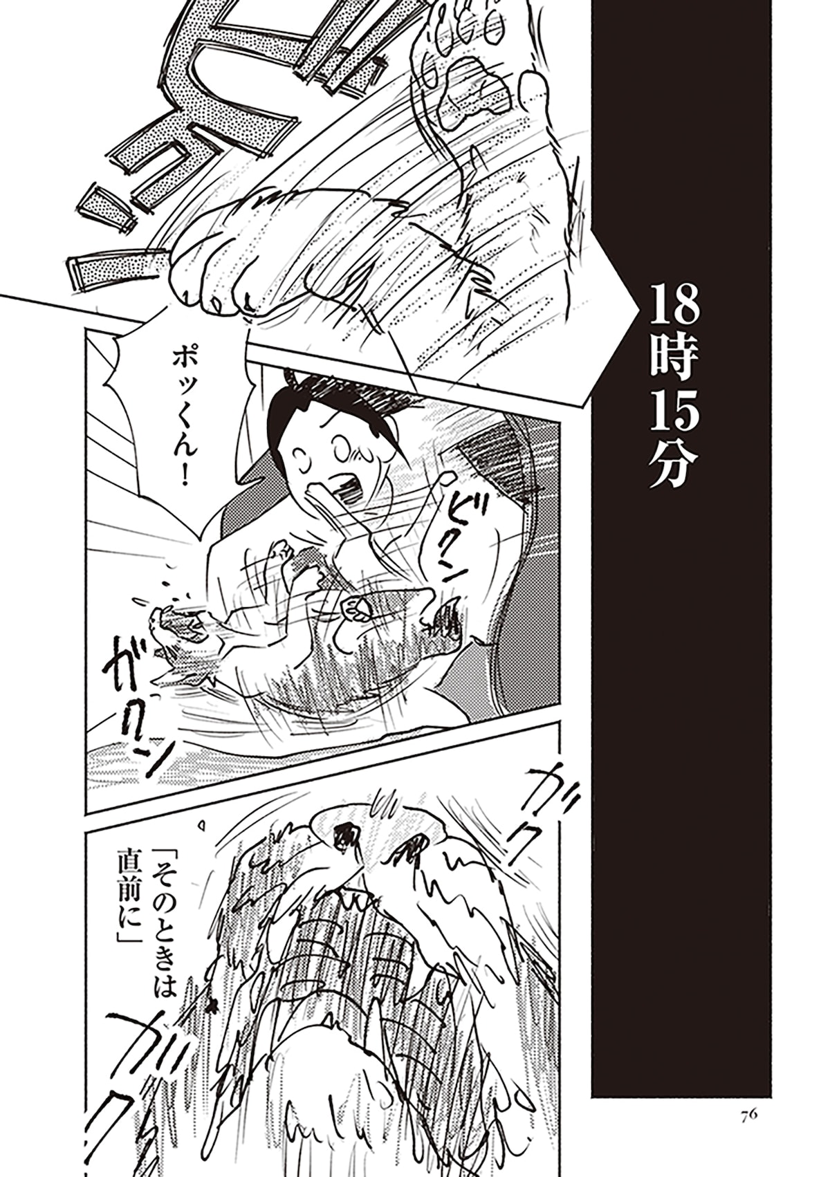 「ポッケの旅支度」