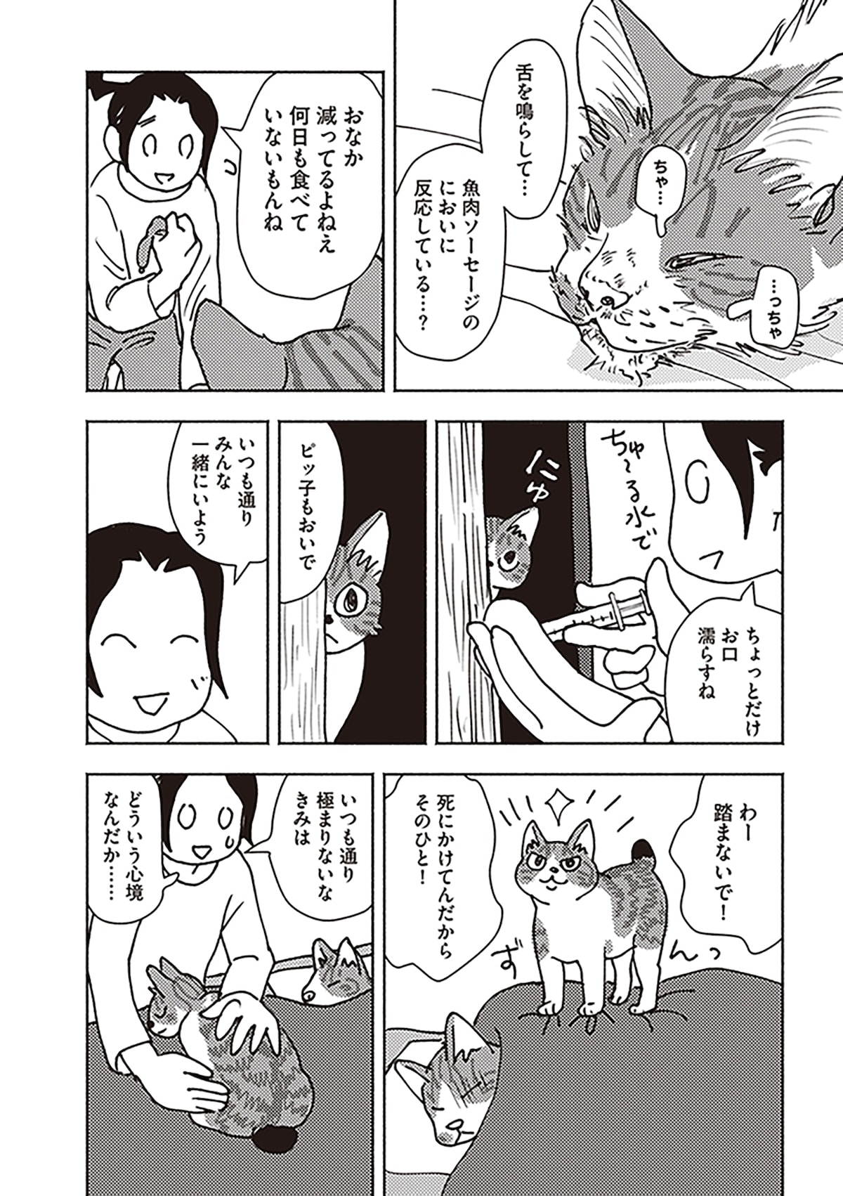 「ポッケの旅支度」