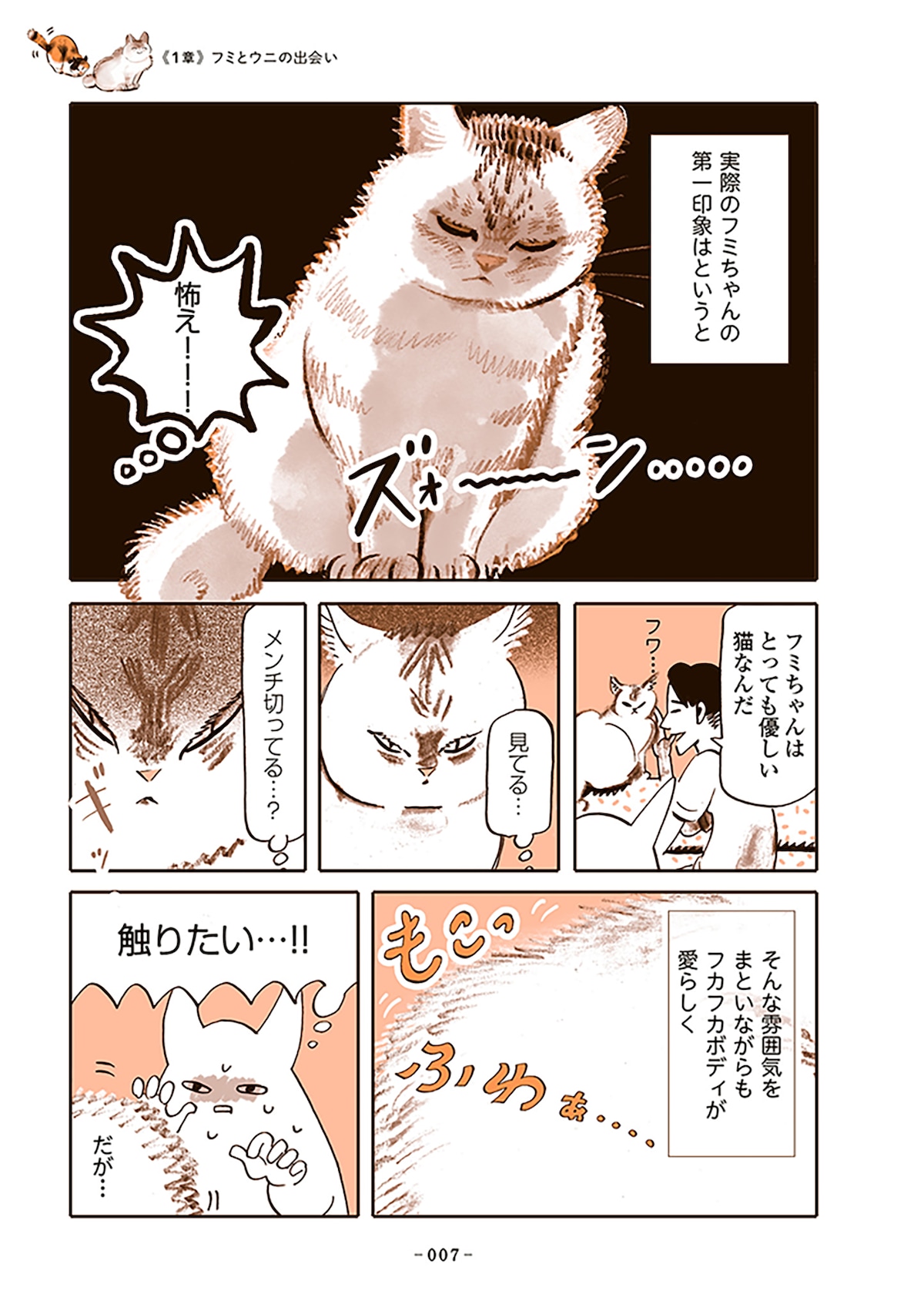 「うちの猫は仲が悪い」
