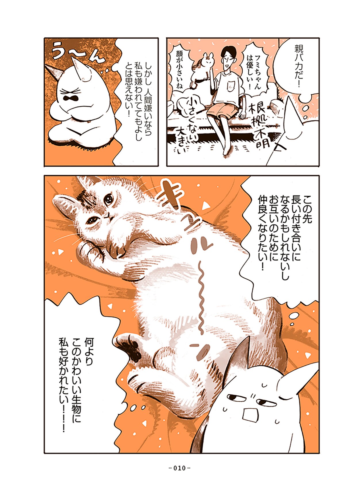 「うちの猫は仲が悪い」