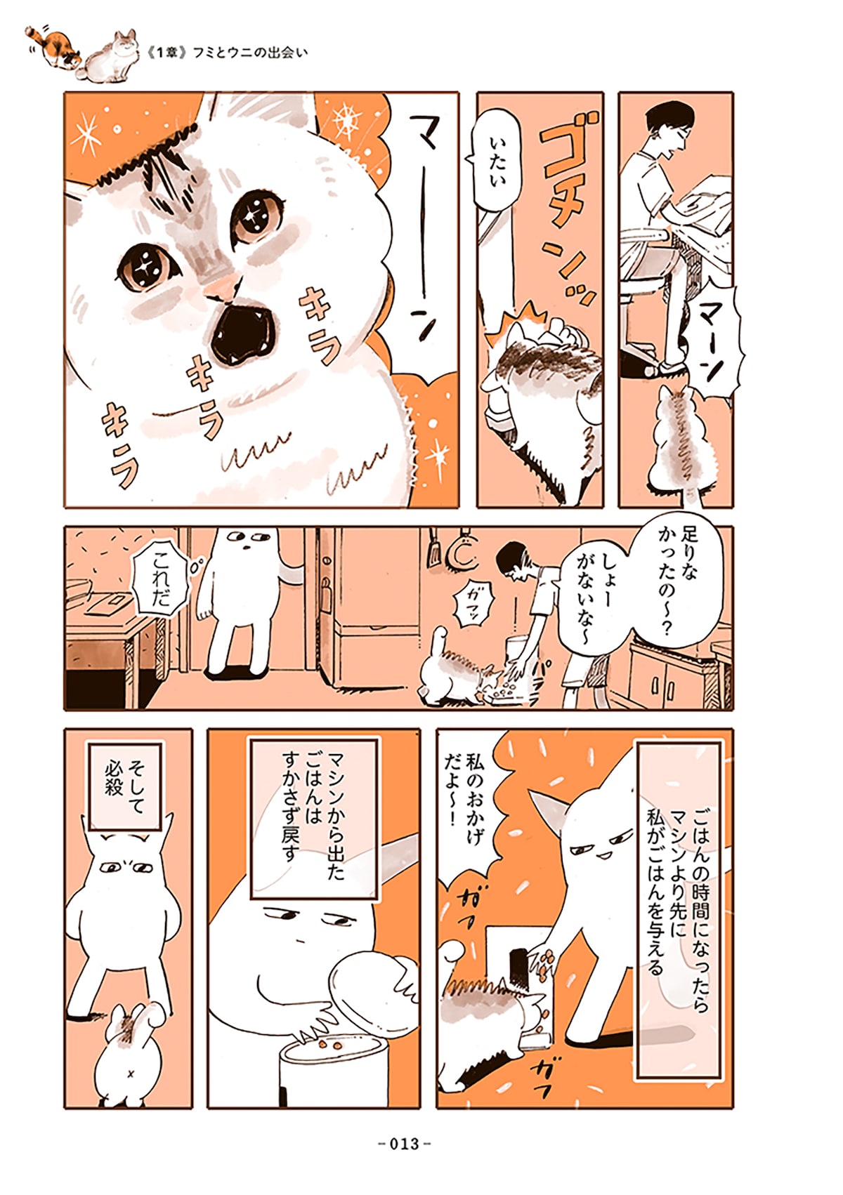 「うちの猫は仲が悪い」