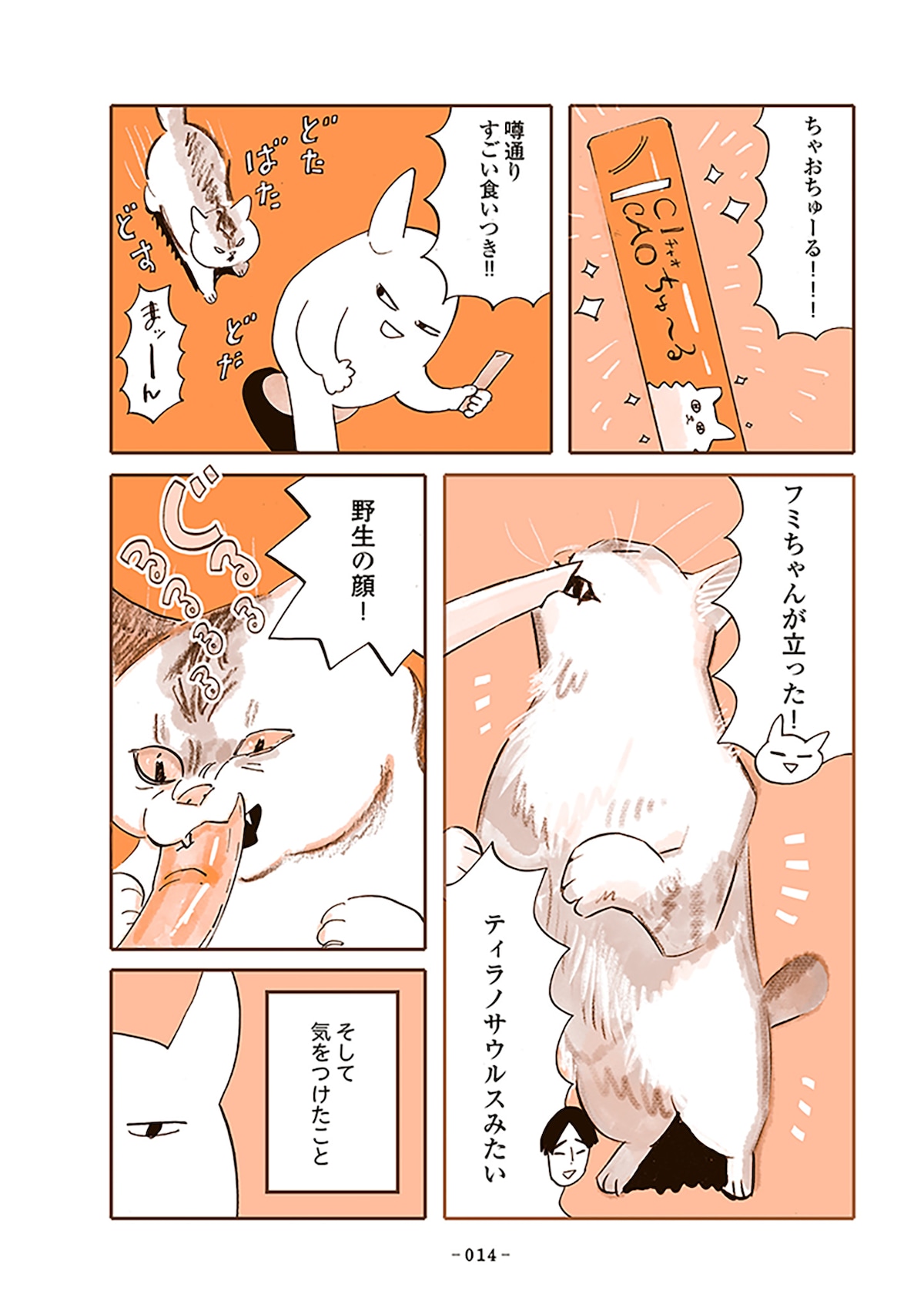 「うちの猫は仲が悪い」