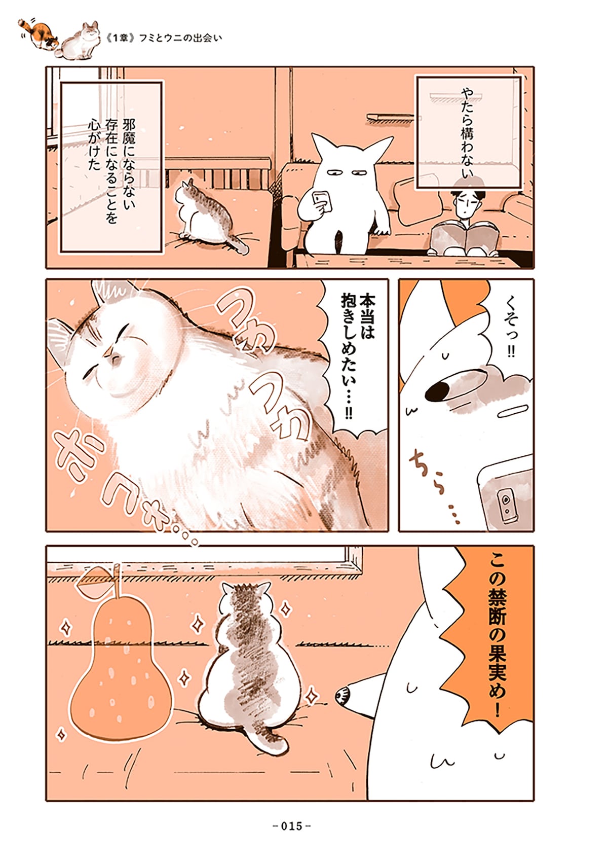 「うちの猫は仲が悪い」