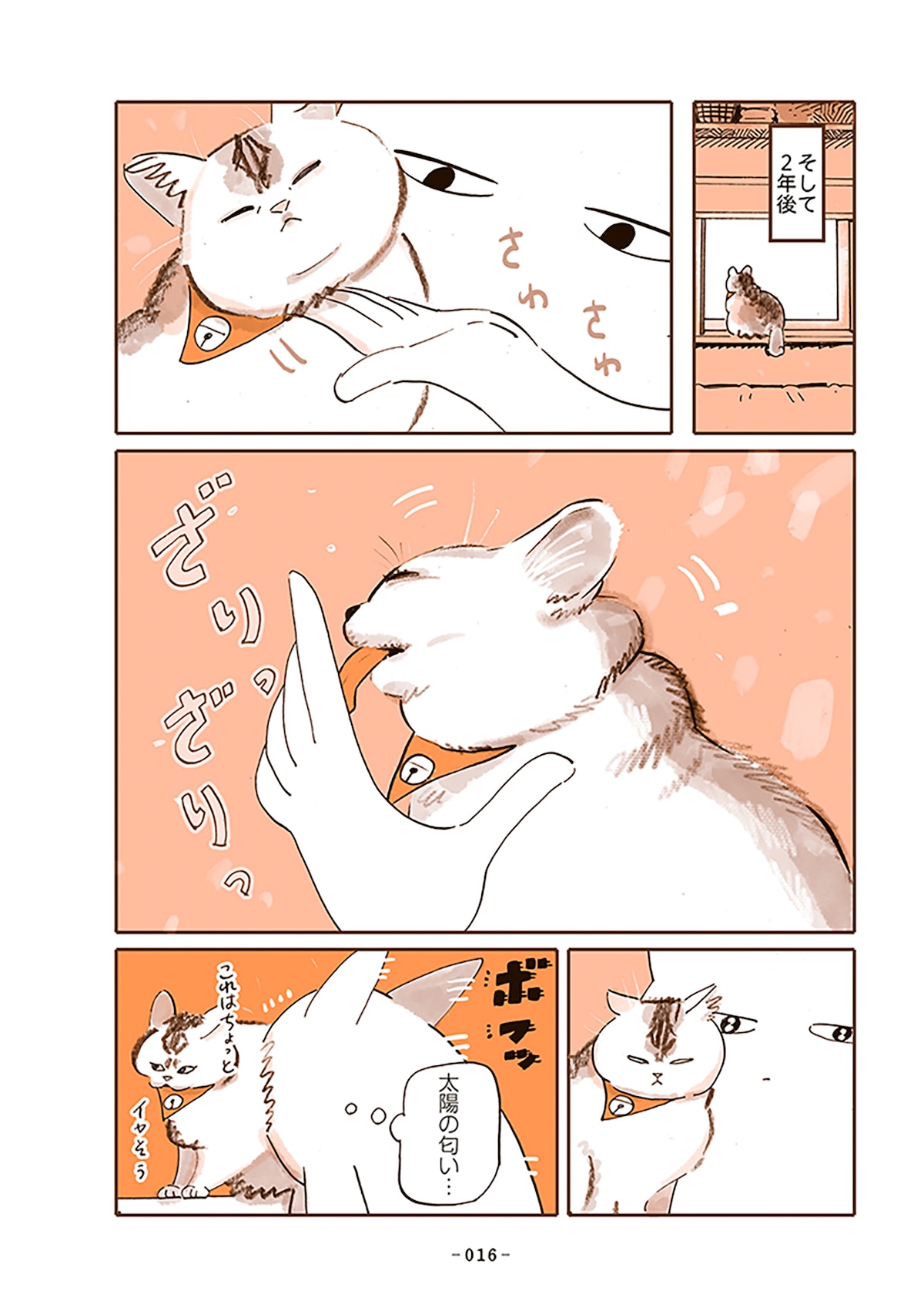 「うちの猫は仲が悪い」